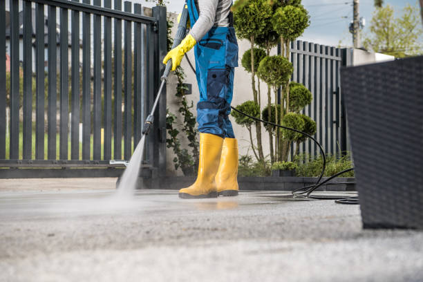 Best Driveway Pressure Washing  in Mount Vista, WA